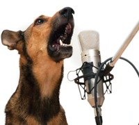 dog-speaking