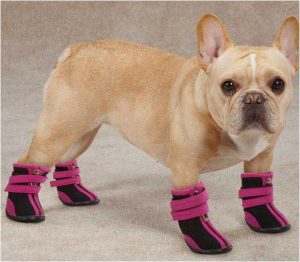 dog-boots-neoprene-1
