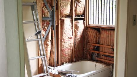 5 Tips for Protecting Your Pets During Home Improvements