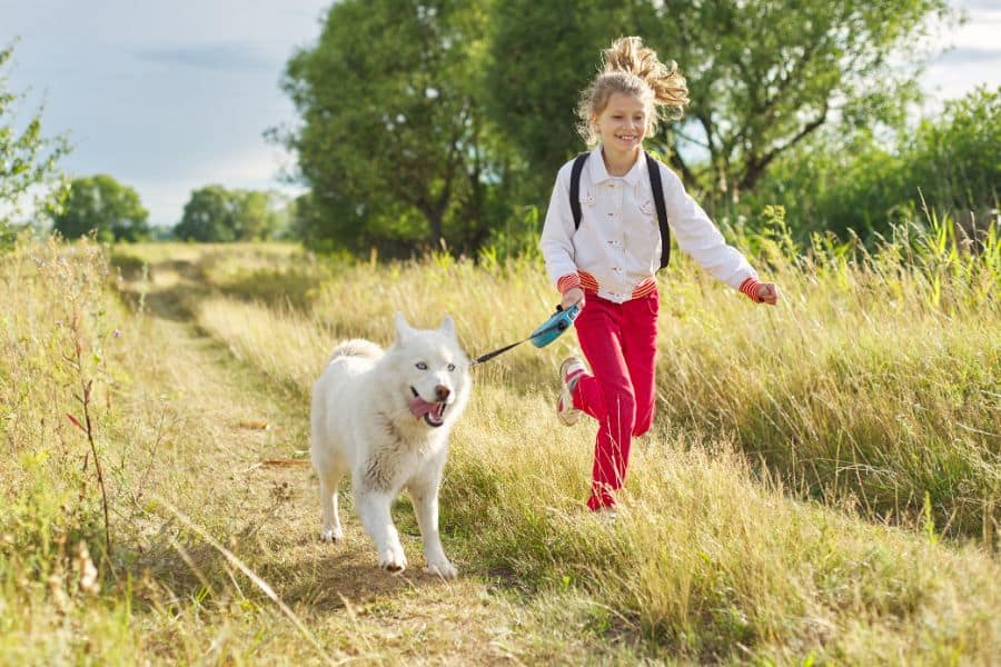 Training Kids to be with Your Pets