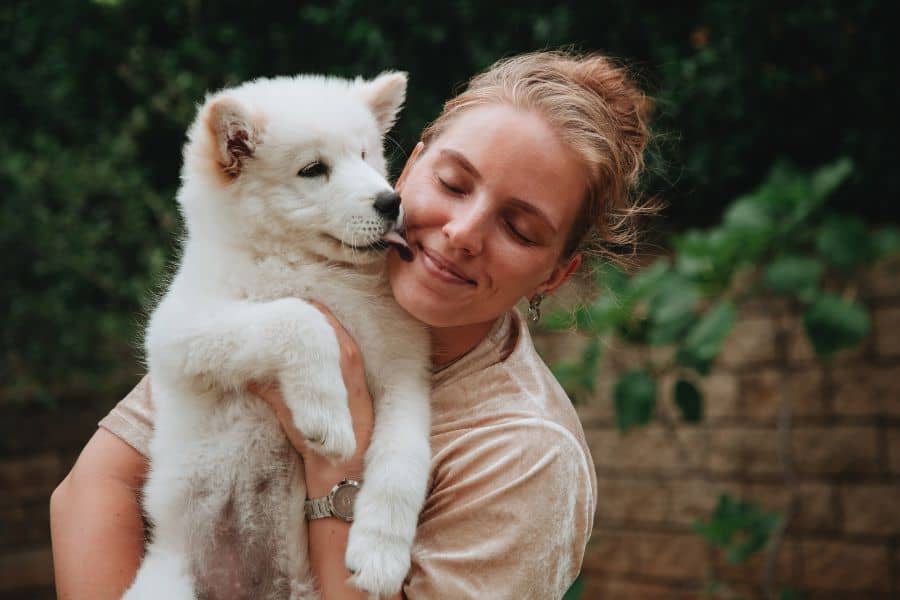 why your dog licks you